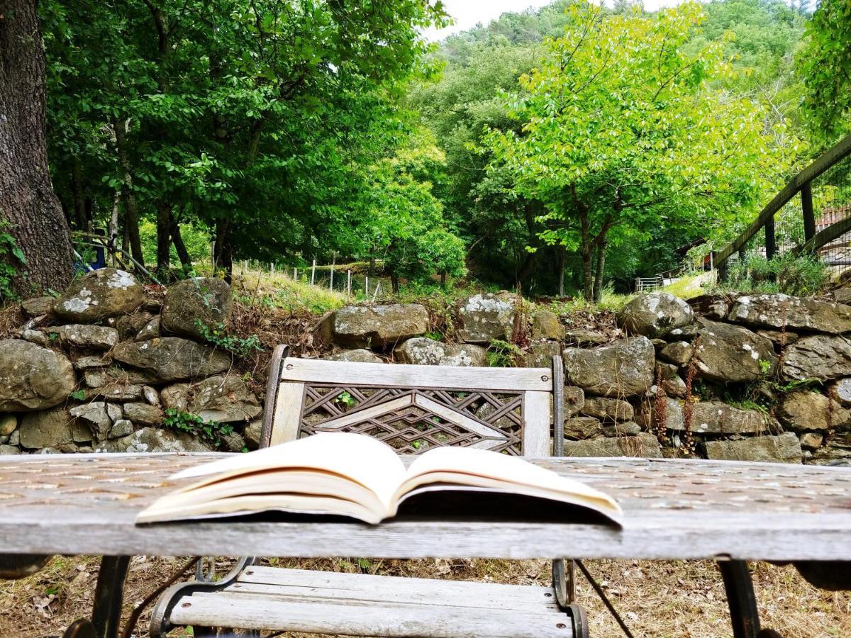 Agricamping Ponteraggio N.1 Hotel Dolceacqua Buitenkant foto