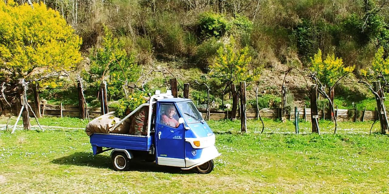 Agricamping Ponteraggio N.1 Hotel Dolceacqua Buitenkant foto