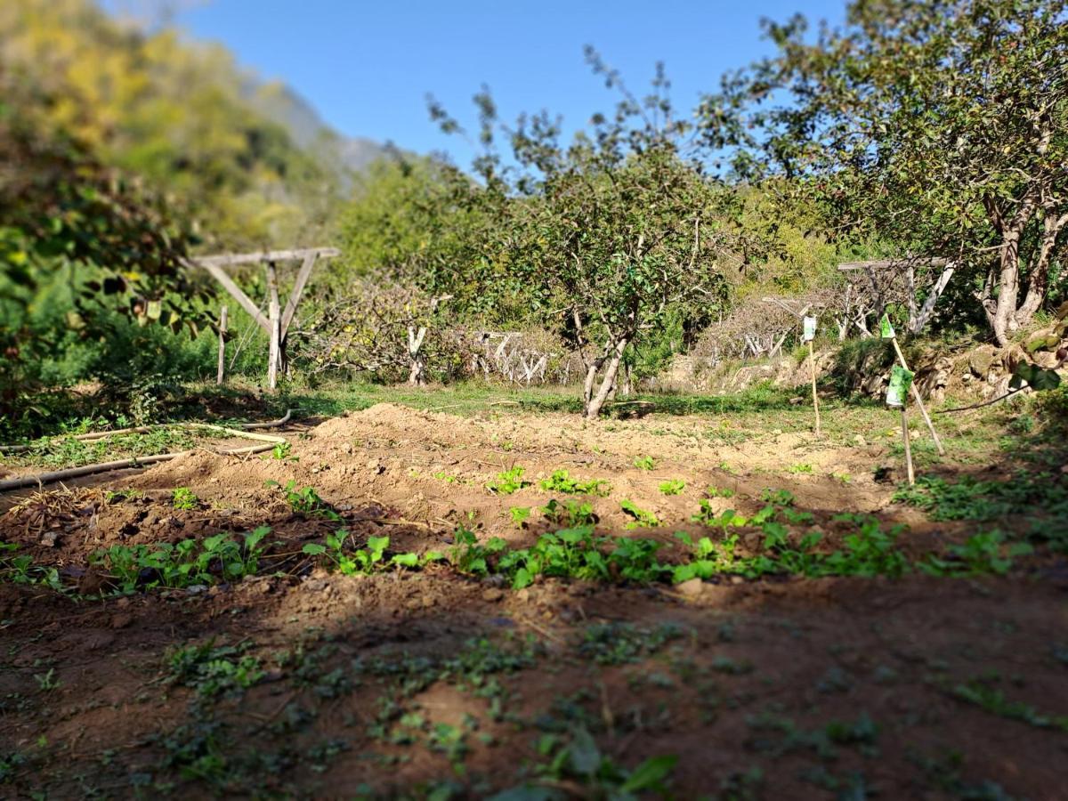 Agricamping Ponteraggio N.1 Hotel Dolceacqua Buitenkant foto