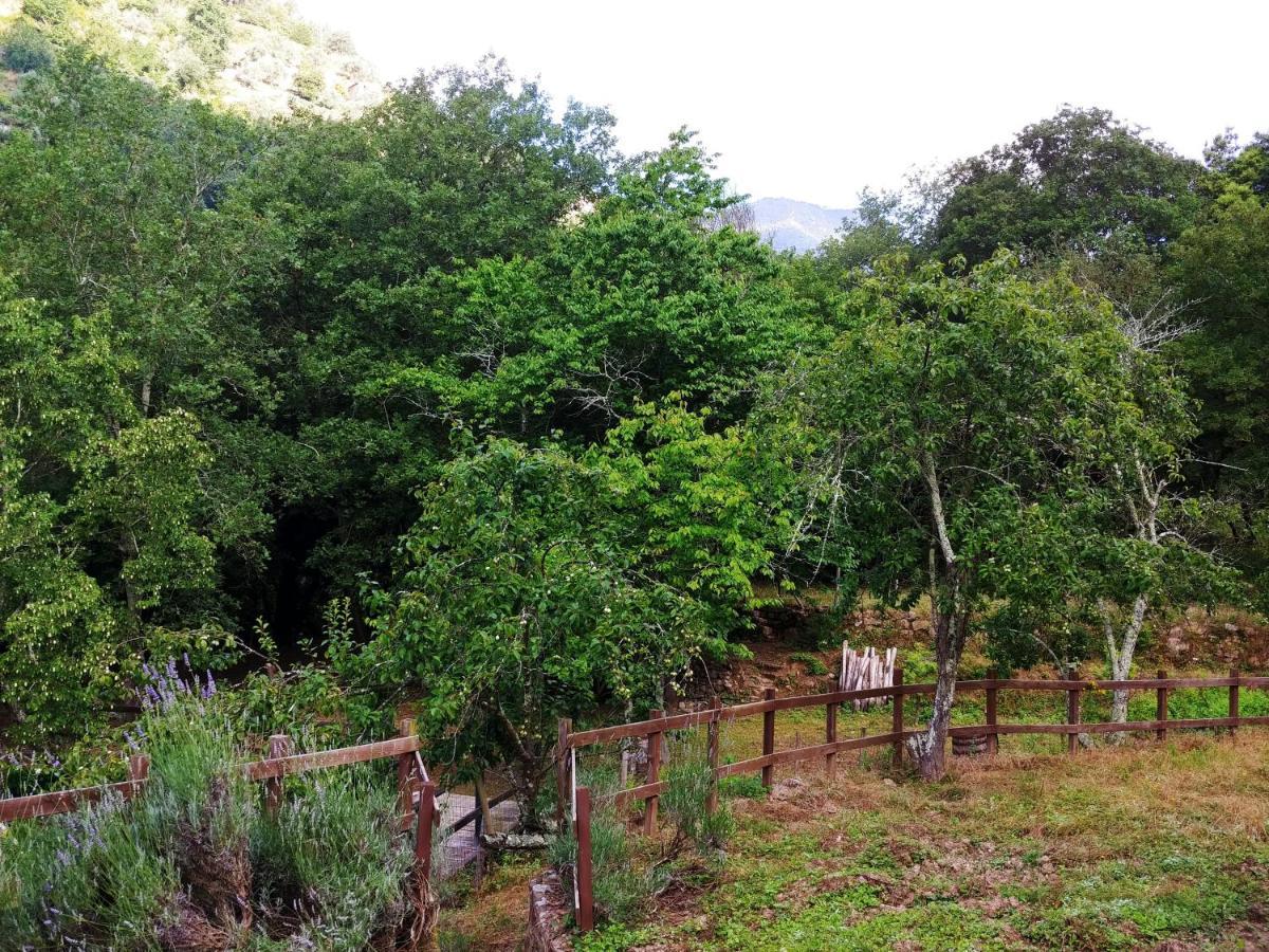 Agricamping Ponteraggio N.1 Hotel Dolceacqua Buitenkant foto