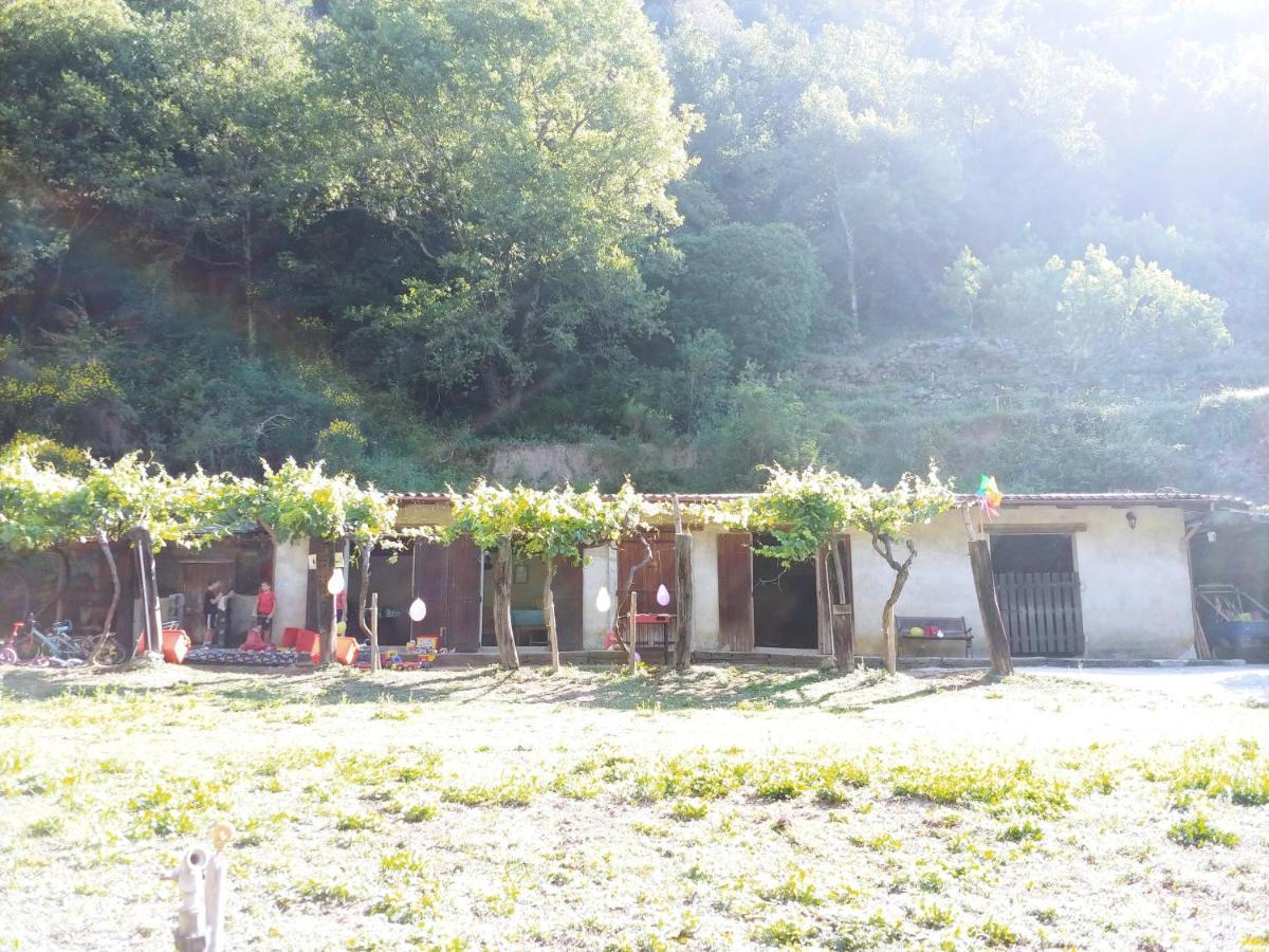 Agricamping Ponteraggio N.1 Hotel Dolceacqua Buitenkant foto