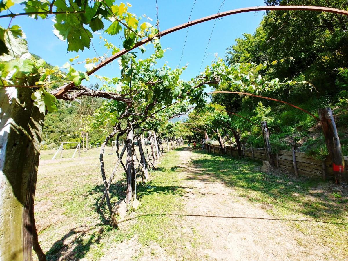 Agricamping Ponteraggio N.1 Hotel Dolceacqua Buitenkant foto