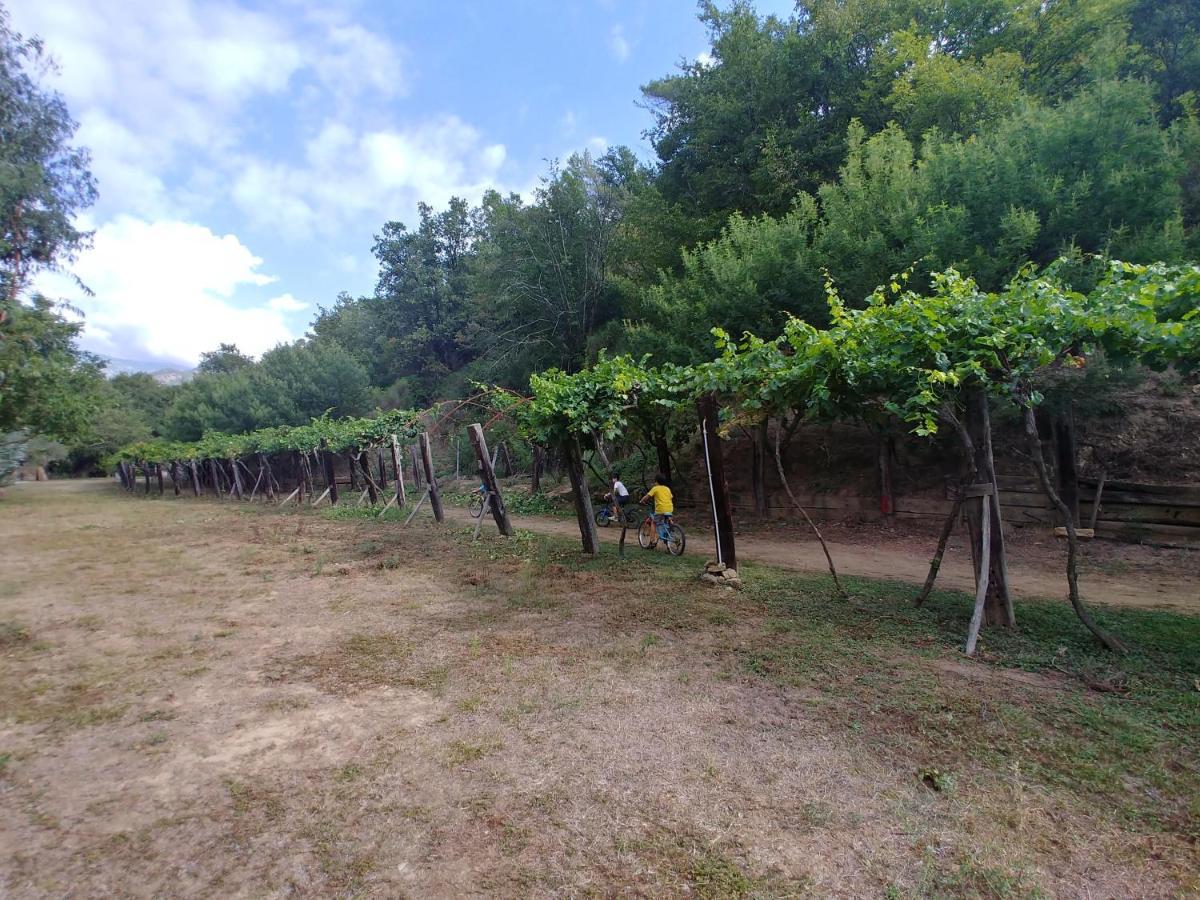 Agricamping Ponteraggio N.1 Hotel Dolceacqua Buitenkant foto