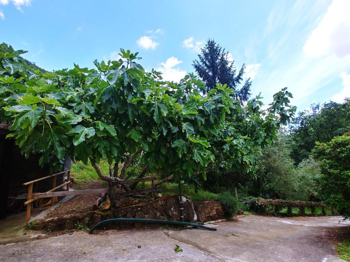 Agricamping Ponteraggio N.1 Hotel Dolceacqua Buitenkant foto