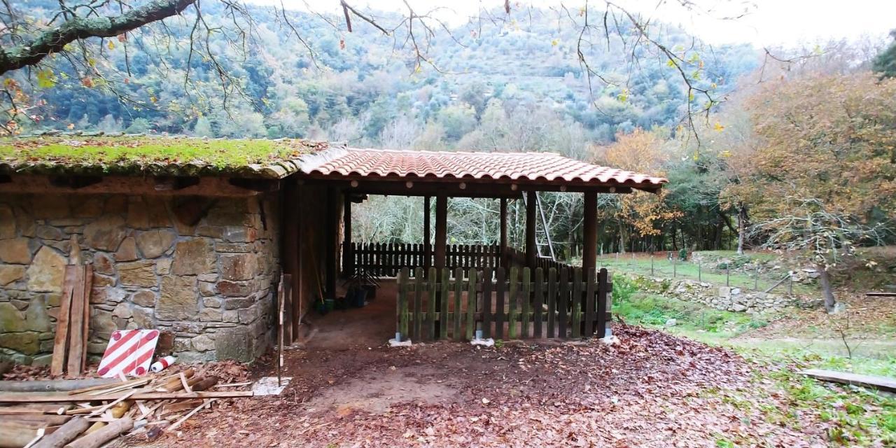 Agricamping Ponteraggio N.1 Hotel Dolceacqua Buitenkant foto