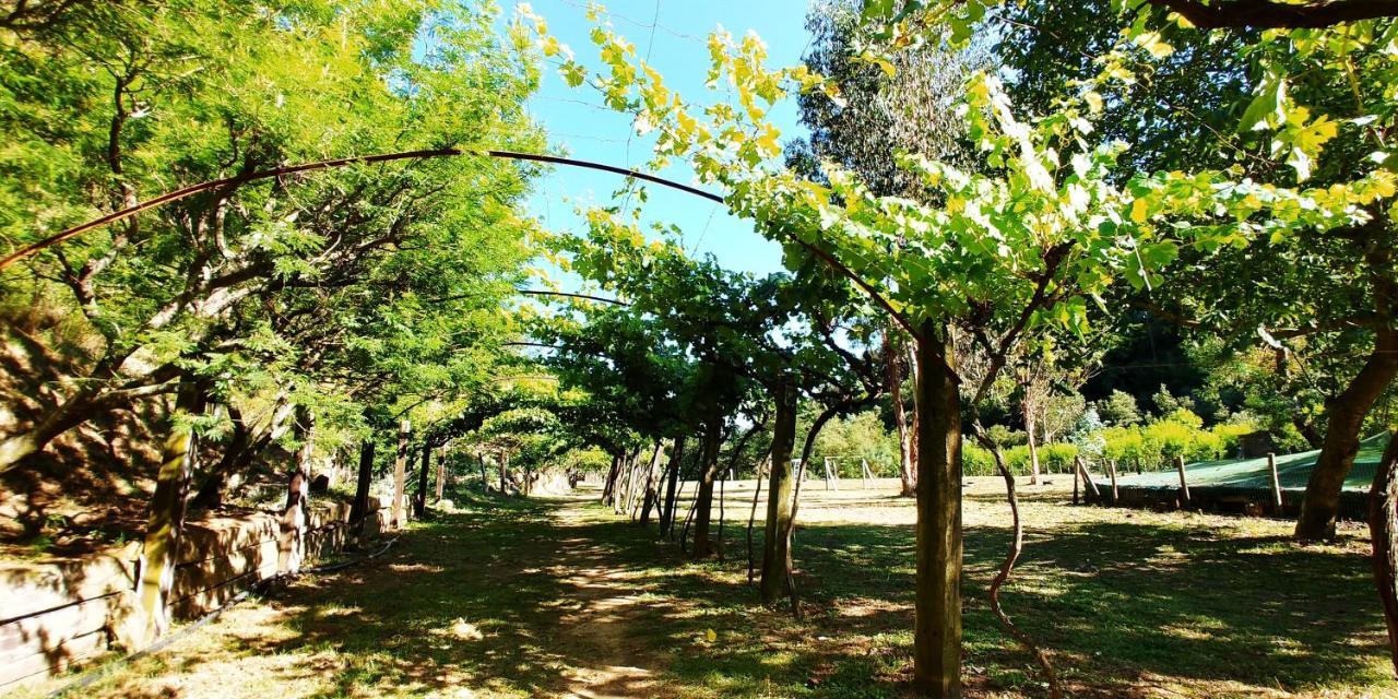 Agricamping Ponteraggio N.1 Hotel Dolceacqua Buitenkant foto