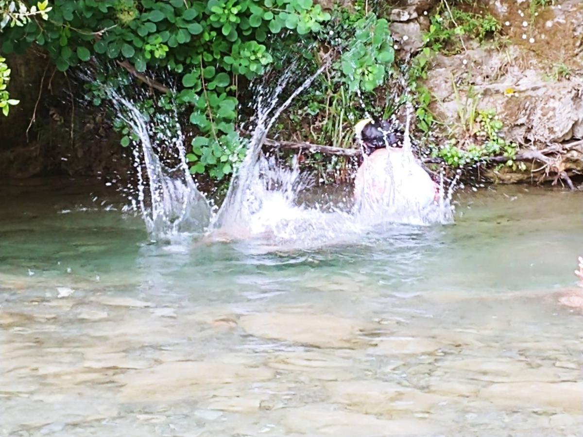Agricamping Ponteraggio N.1 Hotel Dolceacqua Buitenkant foto