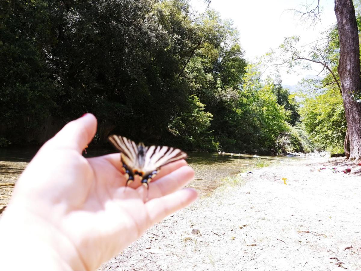 Agricamping Ponteraggio N.1 Hotel Dolceacqua Buitenkant foto