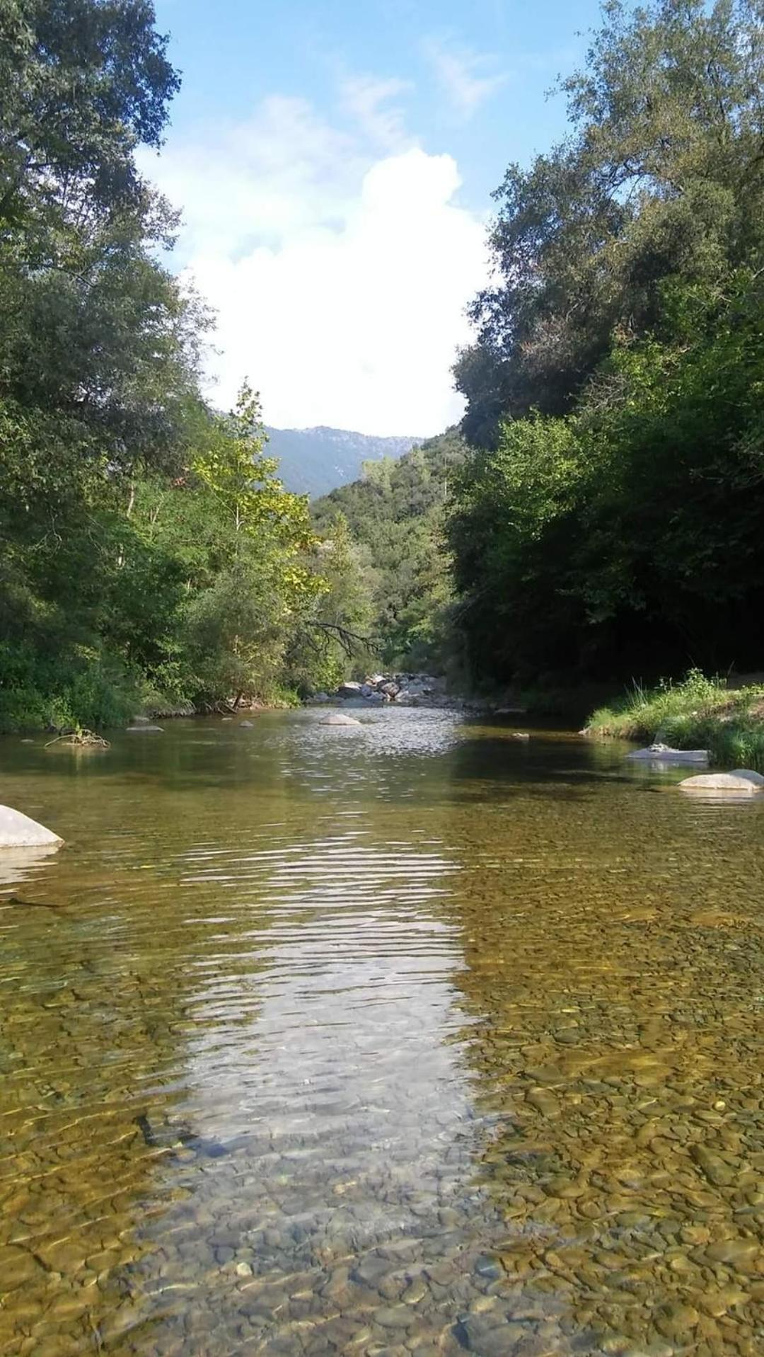 Agricamping Ponteraggio N.1 Hotel Dolceacqua Buitenkant foto